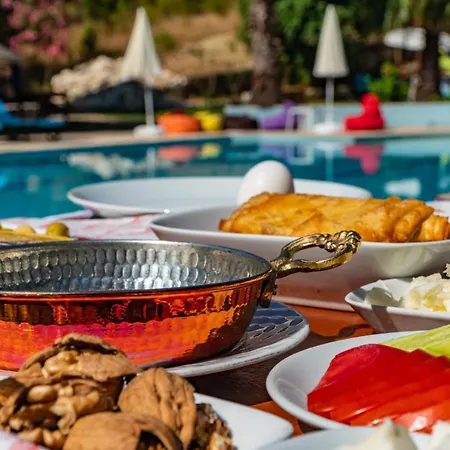 Olympos Forest House Yazir (Kumluca)