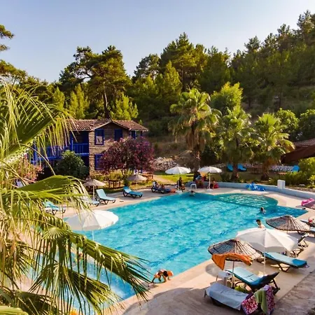 Olympos Forest House