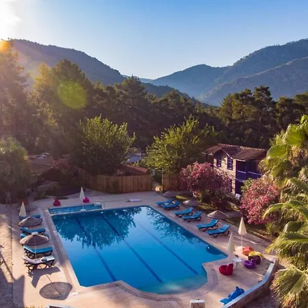 Olympos Forest House