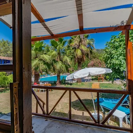 Olympos Forest House *