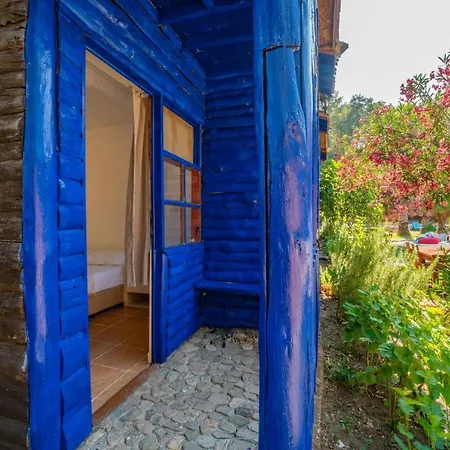 Olympos Forest House *