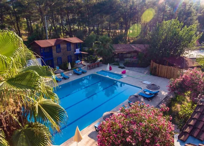酒店 Olympos Forest House *