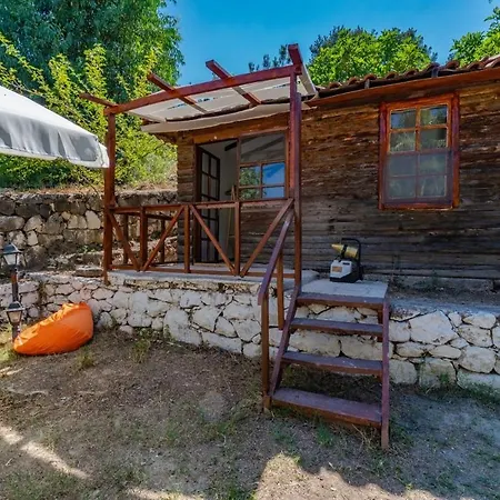 Olympos Forest House * Yazir (Kumluca)