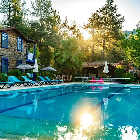 Otel Olympos Forest House *