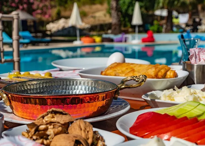 Olympos Forest House Yazir (Kumluca)