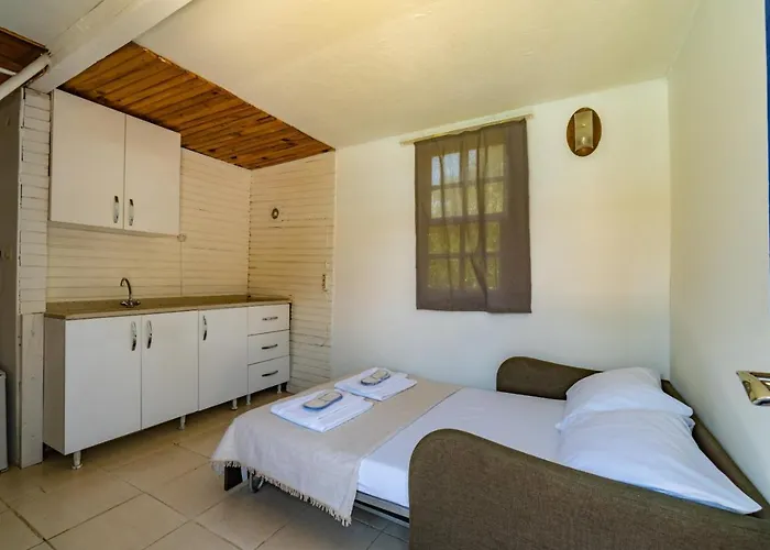 Olympos Forest House ホテル