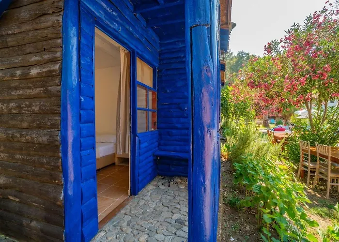 Olympos Forest House *